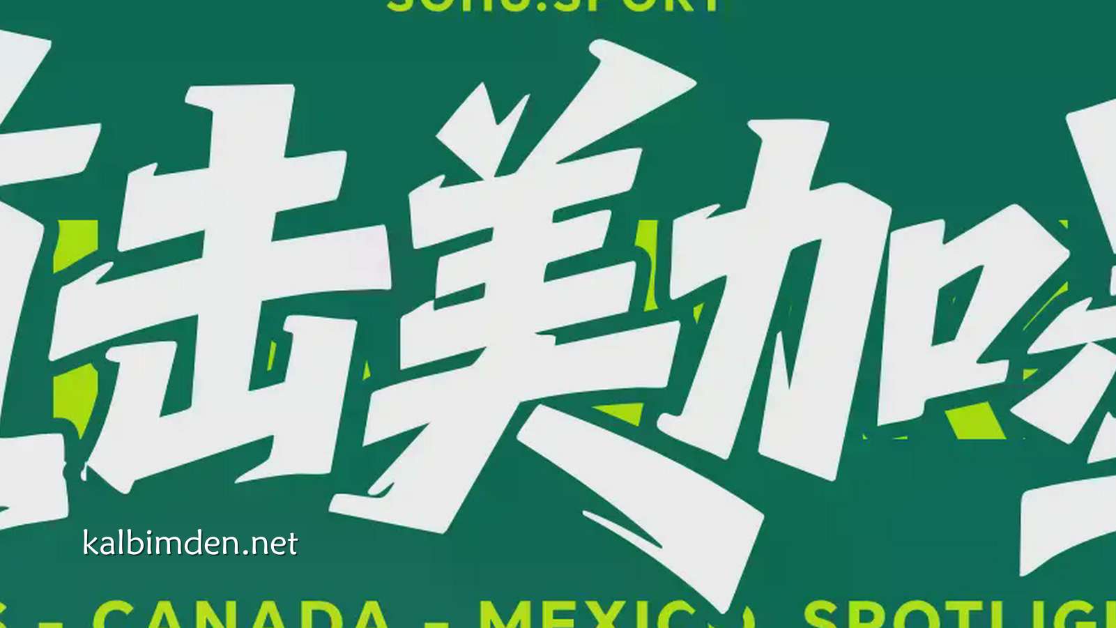 凯发娱乐深度解析 - 世界杯-恩戈伊染红塔雷米进球被吹 10人比利时0-0伊朗