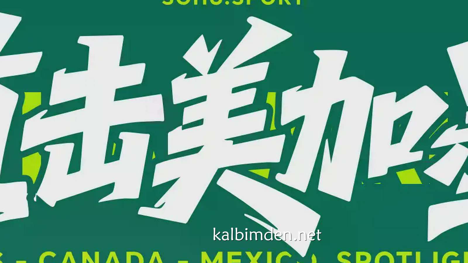 凯发娱乐深度解析 - 世界杯-恩戈伊染红塔雷米进球被吹 10人比利时0-0伊朗